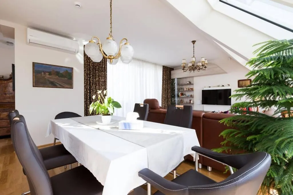 Grosses Penthouse #12 Mit Terrasse Und Aussicht Apartment Vienna