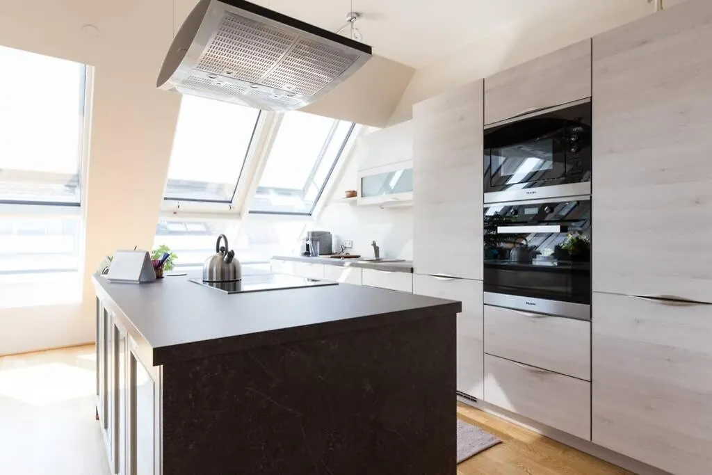 Grosses Penthouse #12 Mit Terrasse Und Aussicht Apartment Vienna Austria